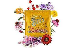 Wildflower Seeds Bulk, 2 Oz. 80,000+ Seeds