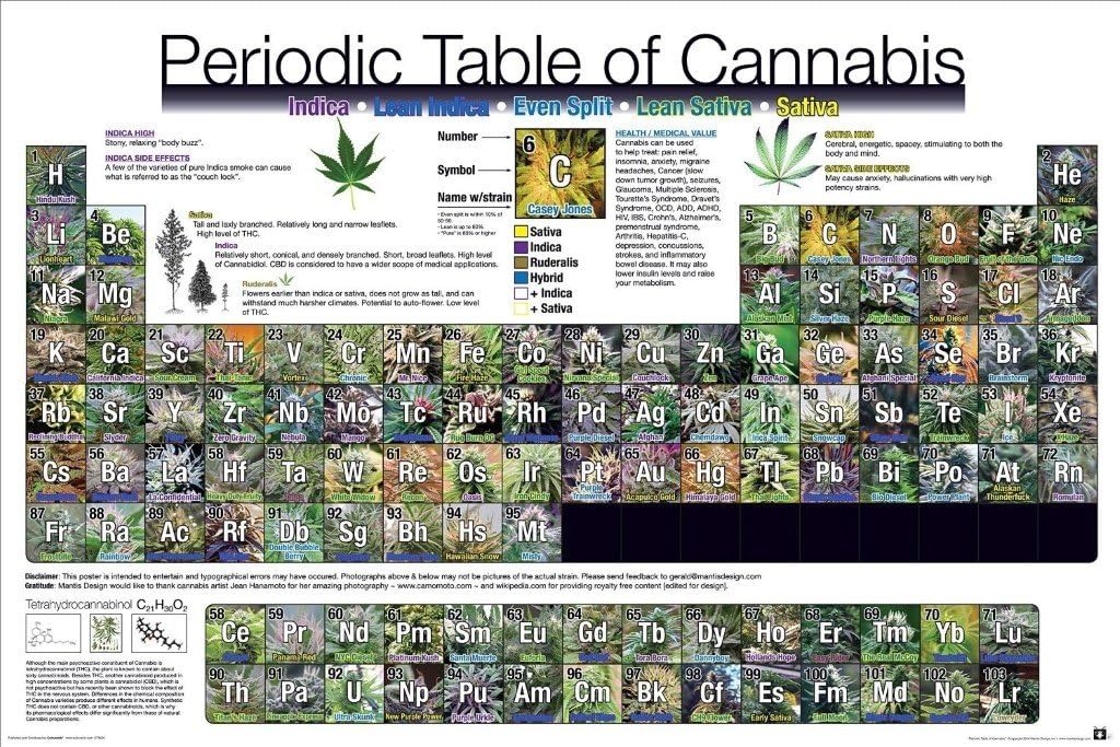 Periodic Table Cannabis Poster Print 36 X 24 Amazon ca Home