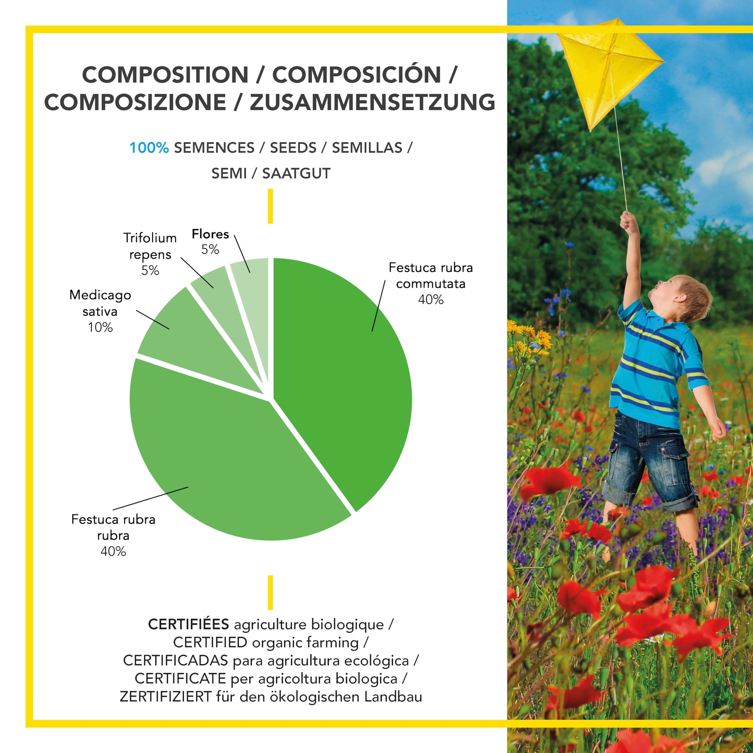 BARENBRUG - Pradera Perenne Biodiversificada BIO - Fácil de Instalar - Favorece la Biodiversidad - Mantenimiento Reducido - Fabricado en Francia - 10 Kg