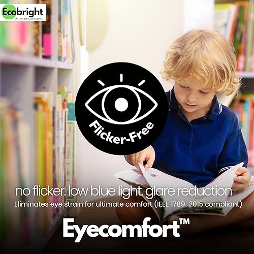 Miniatura 8 de EcoBright 8PK - Bombilla de filamento LED A19 regulable, 10 W (equivalente a 100 W), base E26, 1100 lúmenes, CRI90+, vidrio transparente sin