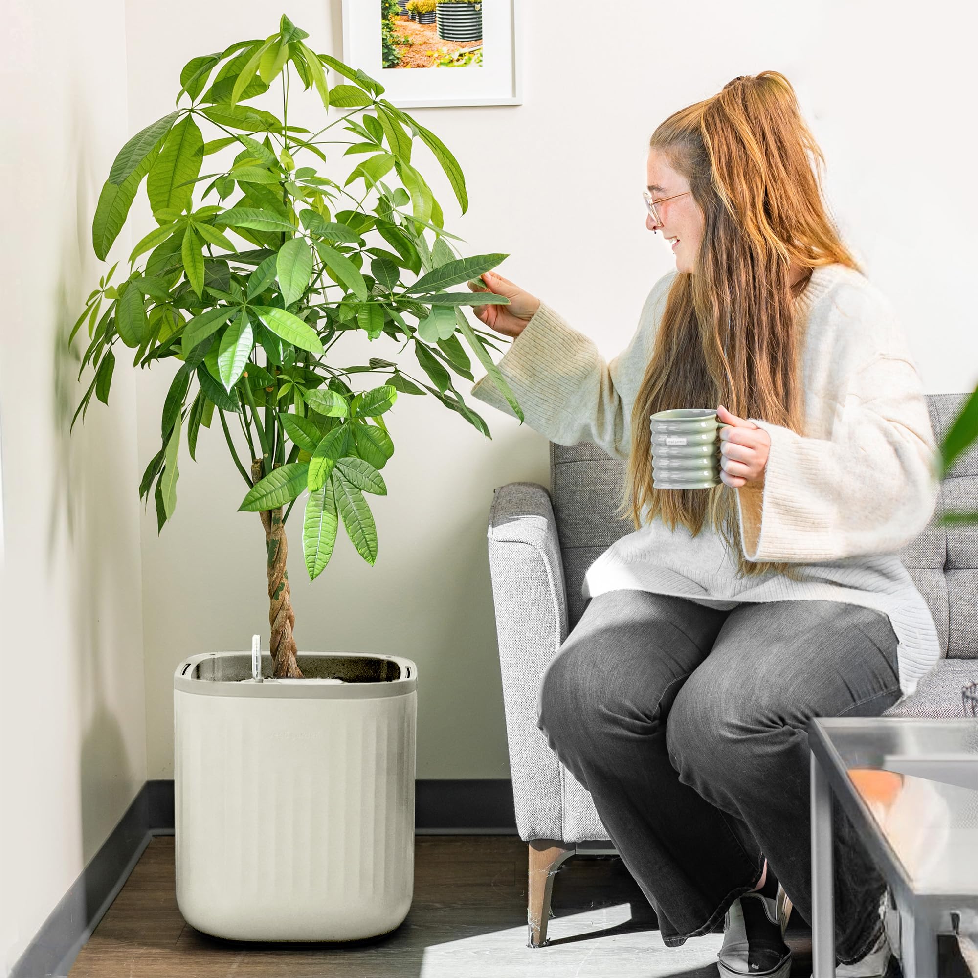 Vego garden Self Watering Pots Home Planters with Water Gauge for Effortless Indoor Plants Cream White