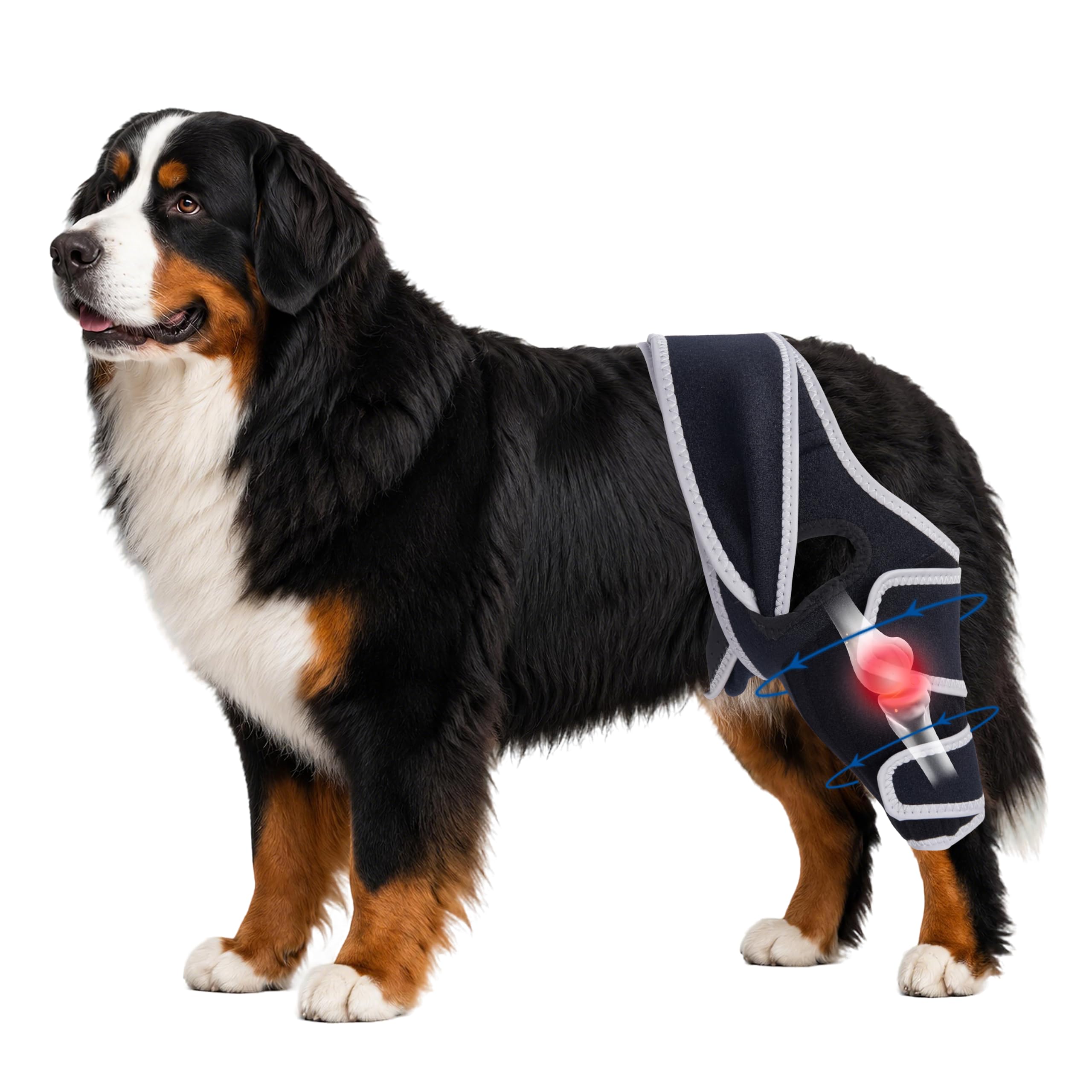 Dog Rear Leg Brace with Side Stabilizer for Left or Right Leg,XXL.