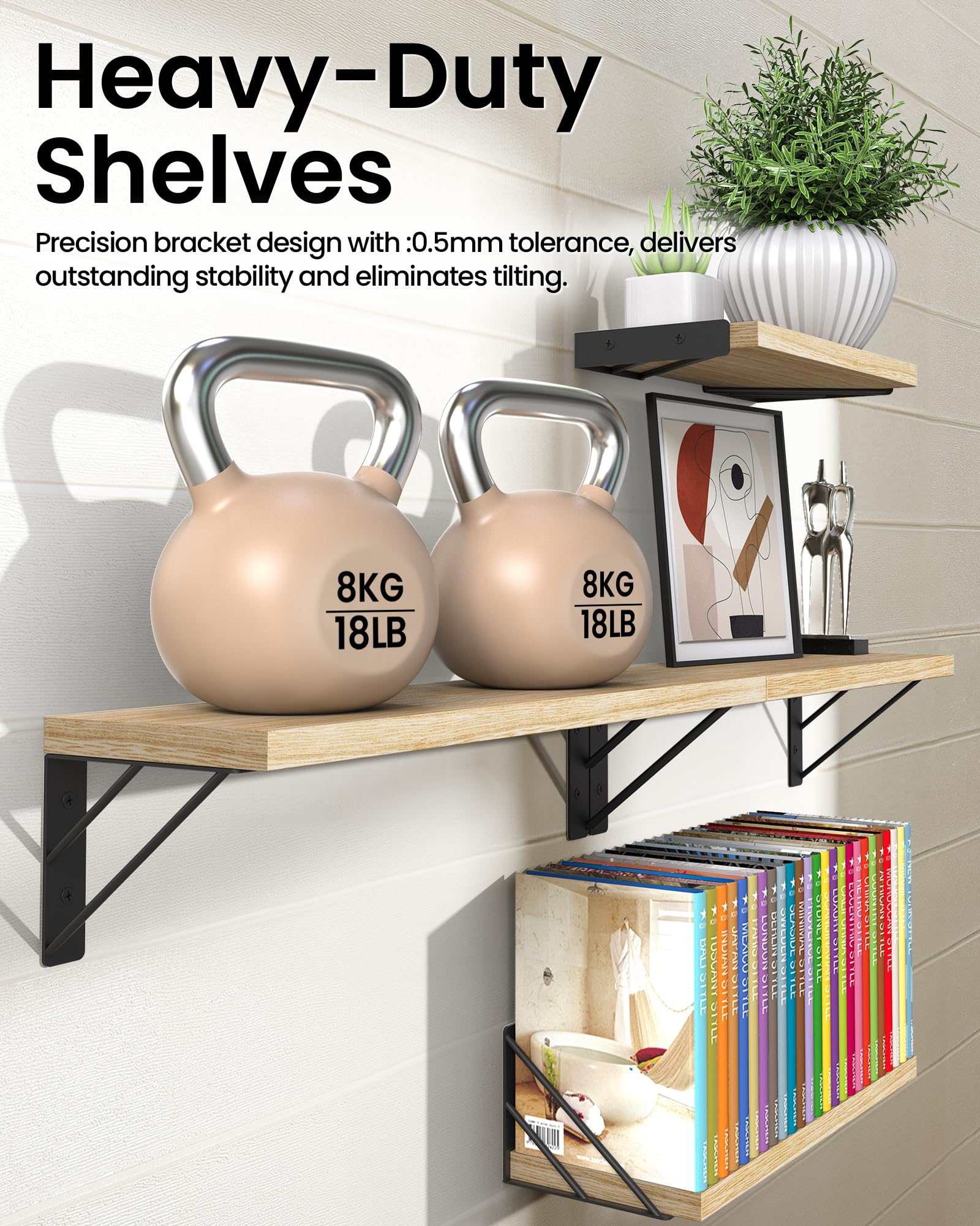 https://m.media-amazon.com/images/I/81FLSNHe09L.jpg