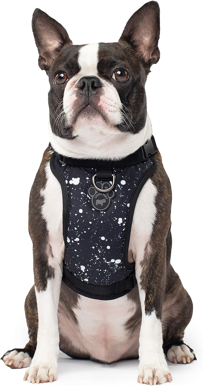 Canada Pooch Adjustable No-Pull Dog Harness with Seat Belt Safety