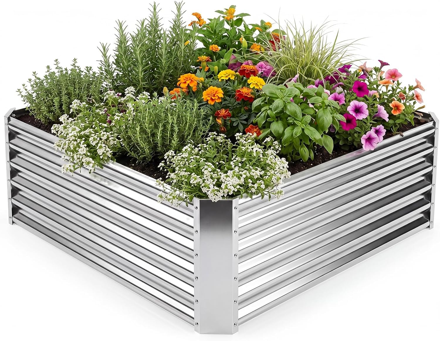 Cama elevada de jardín que evita raíces podridas y protege sus plantas de huerto exterior