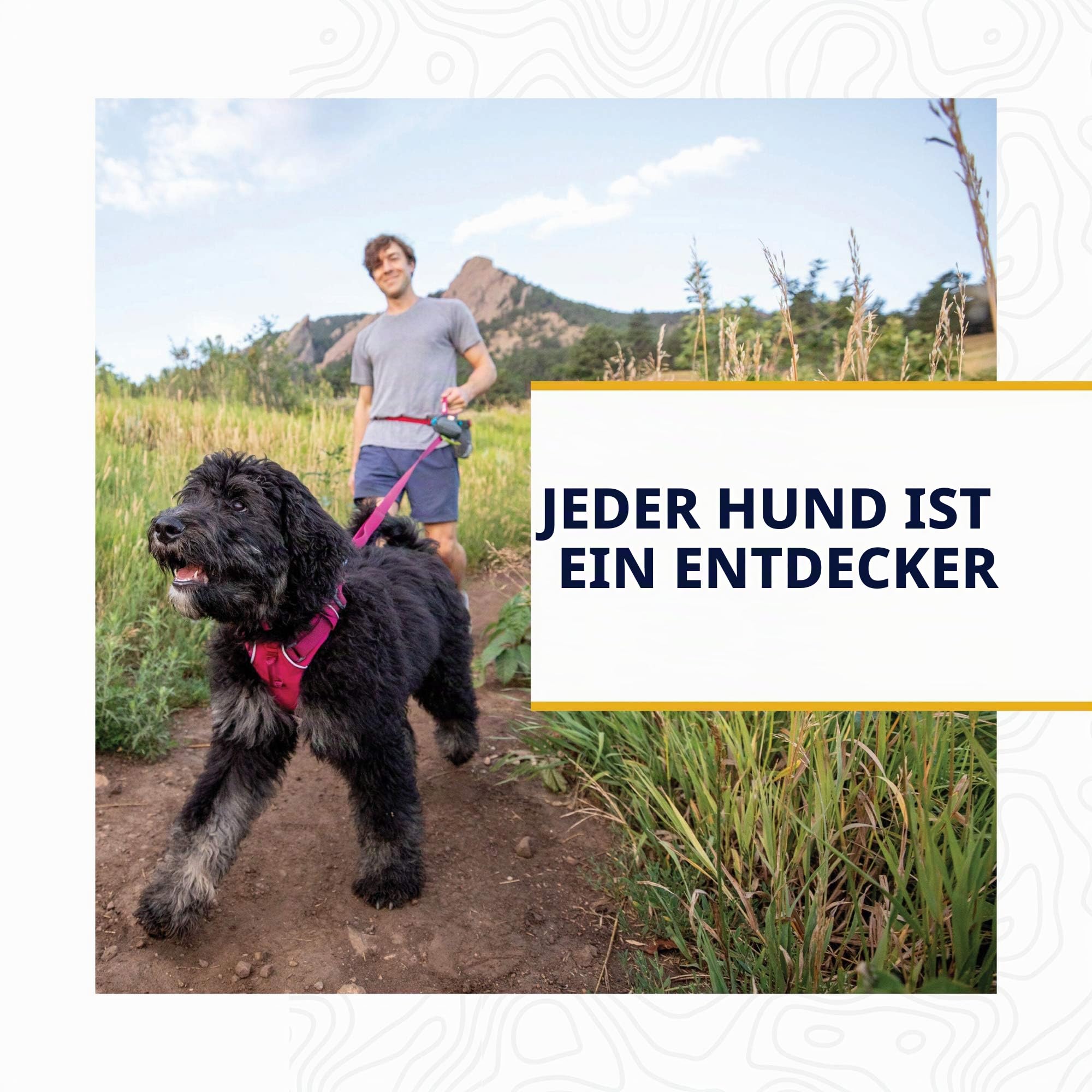 RUFFWEAR Top Rope Hundehalsband, Reflektierendes Halsband mit Metallschnalle für den Täglichen Gebrauch, Meeresschaum, 28–36 cm