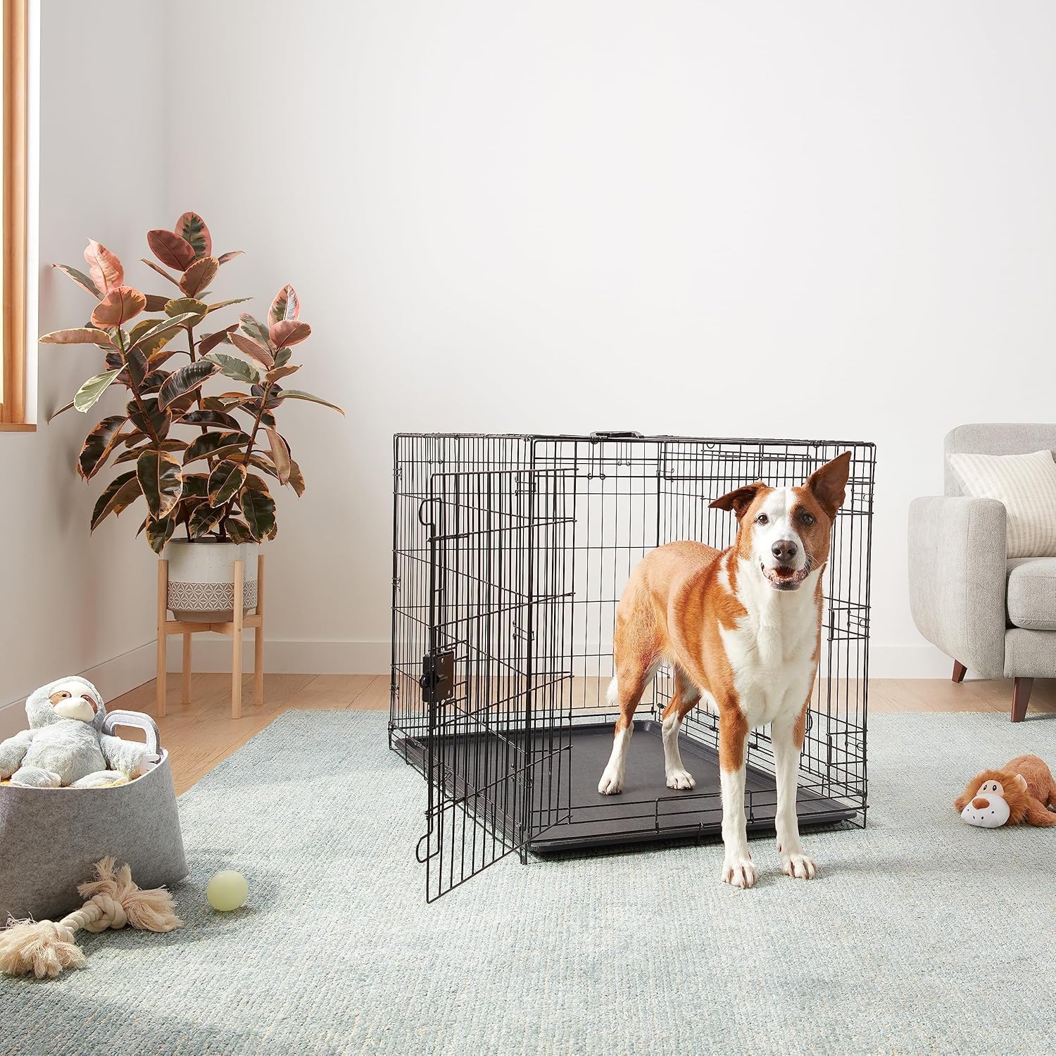 Amazon.co.jp: 犬 ペットケージ 大型犬 折り畳み式 トレー付き 