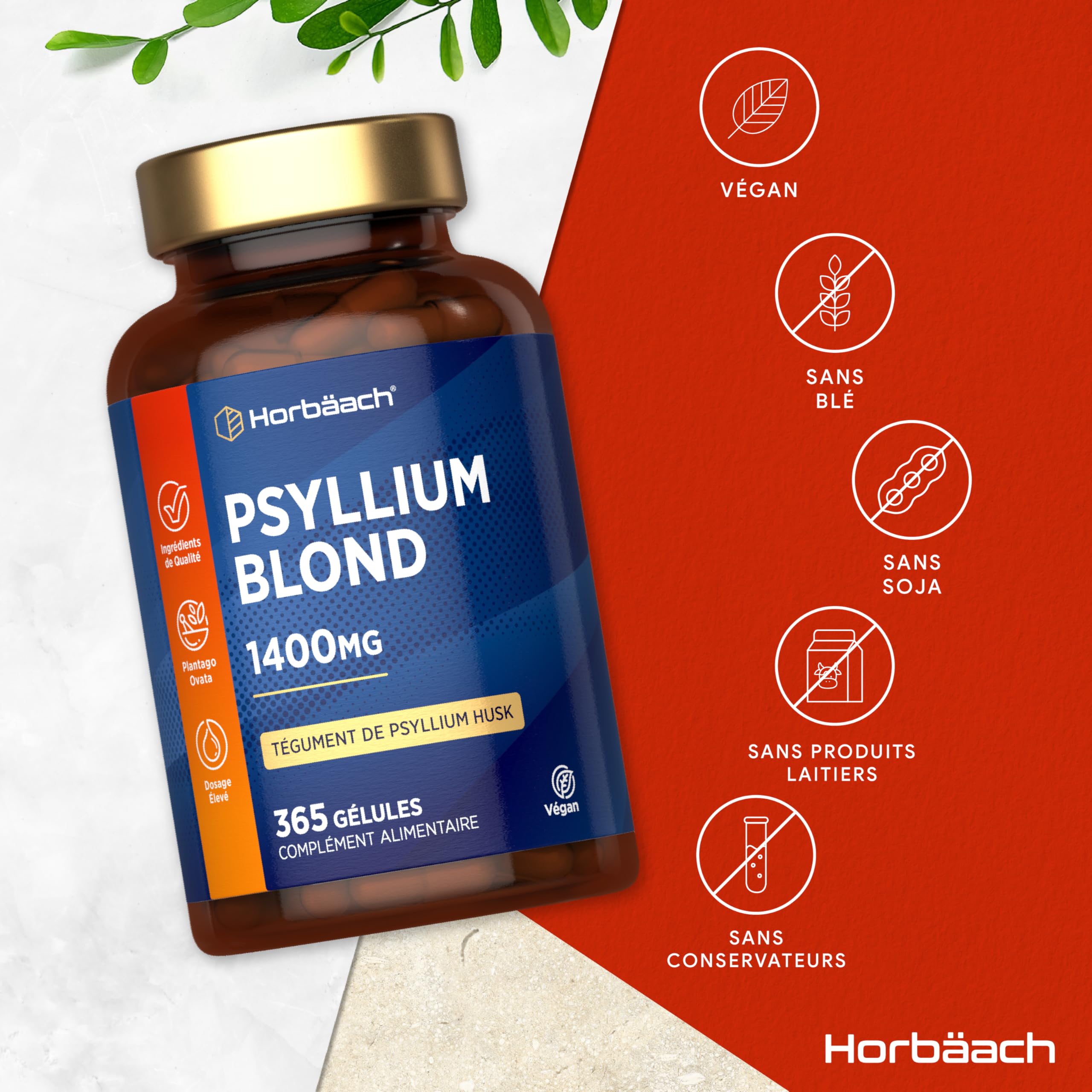Psyllium Blond Gelules 1400 mg | 365 Psyllium Gelules Vegan | 6 Mois | Haute Dosage | Prébiotique naturel | Horbaach