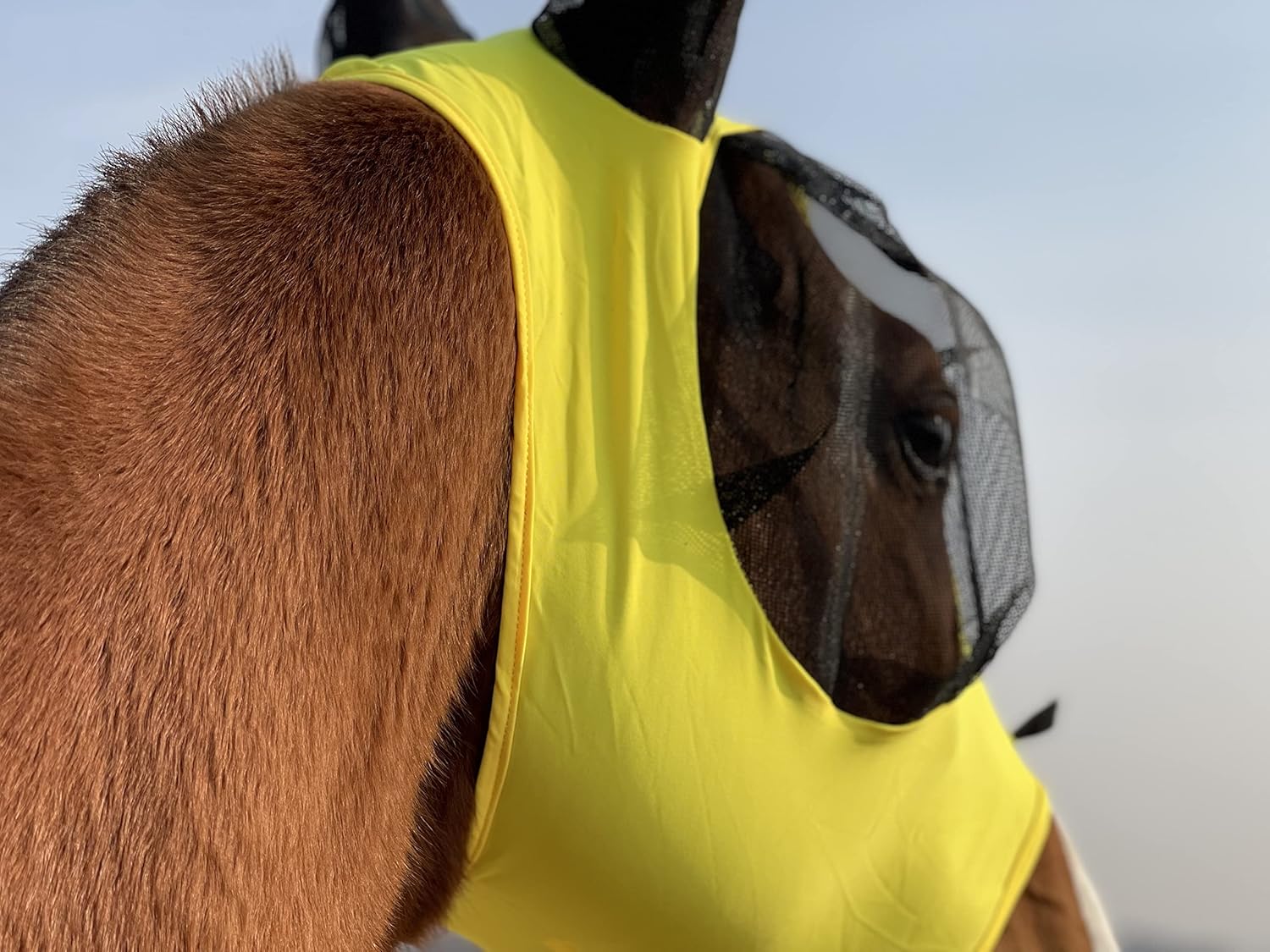 Horse Fly Mask Super Comfort Horse Fly Mask Elasticity Fly Mask with Ears We Only Make Products That Horses Like (M, Yellow)… : Pet Supplies