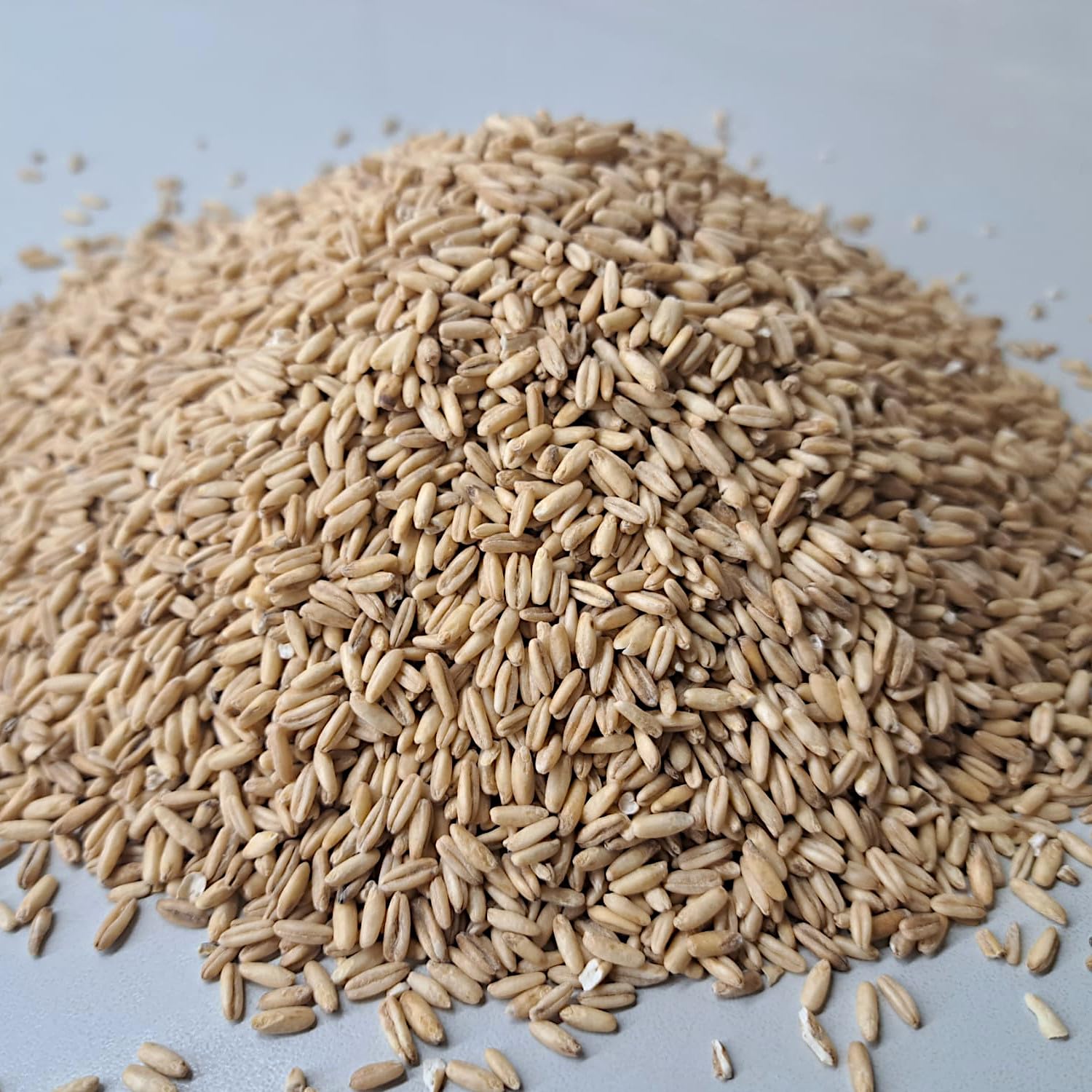 Nackthafer ganzkörnig 25kg von Rätze-Mühle ganze Körner Kerne 100% regional naturbelassen