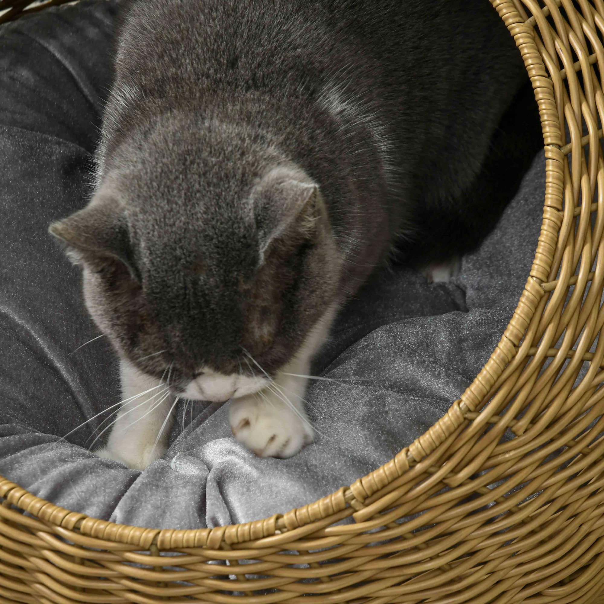 PawHut Niche pour Chat lit pour Chat Panier de Chat en résine tressée Imitation rotin Coussin Doux déhoussable Ø 50 x 31H cm Marron Clair