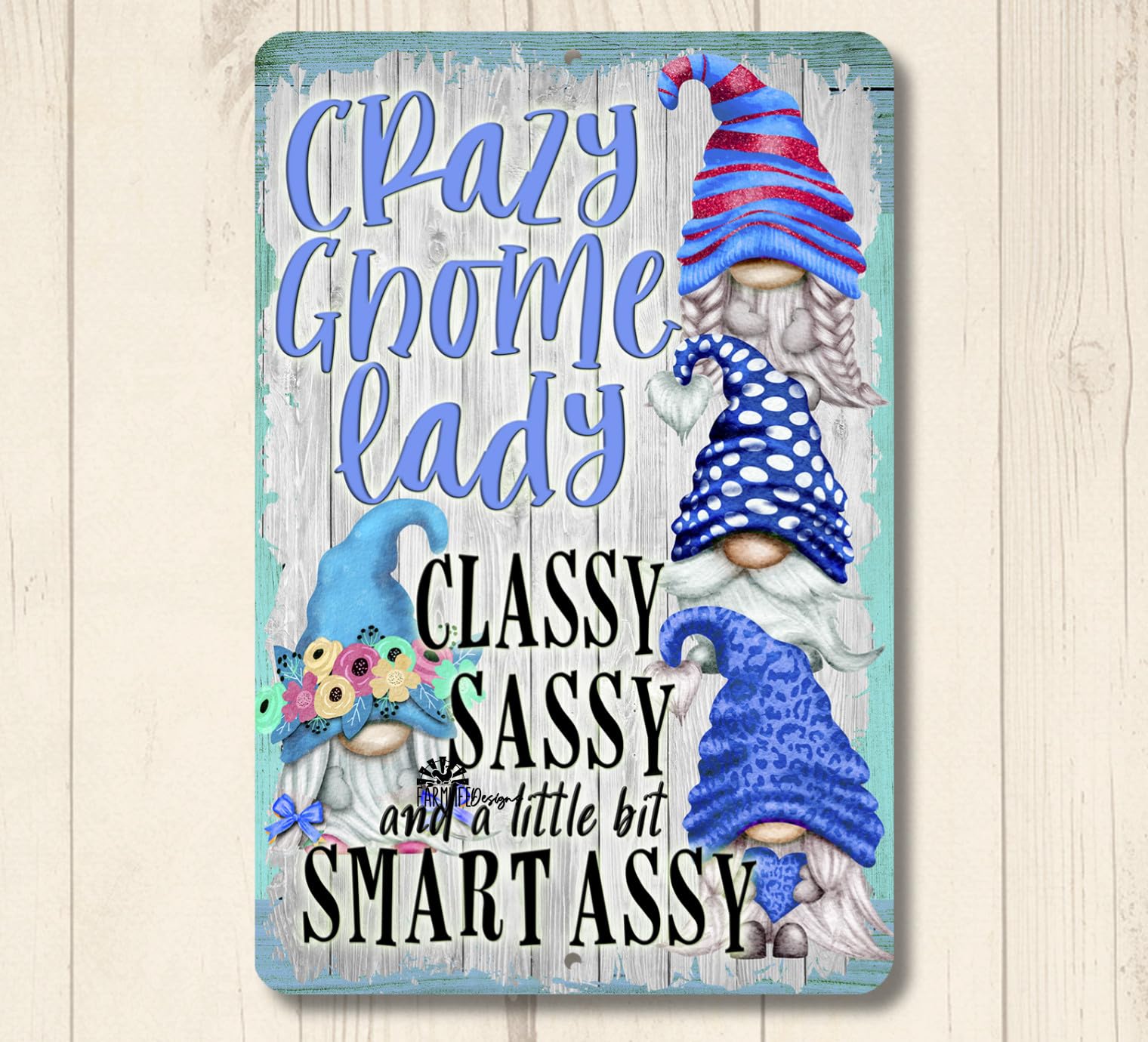 Crazy Gnome Lady Sign classy, sassy, smart assy Metal Tin Wall Art handmade gift home decor