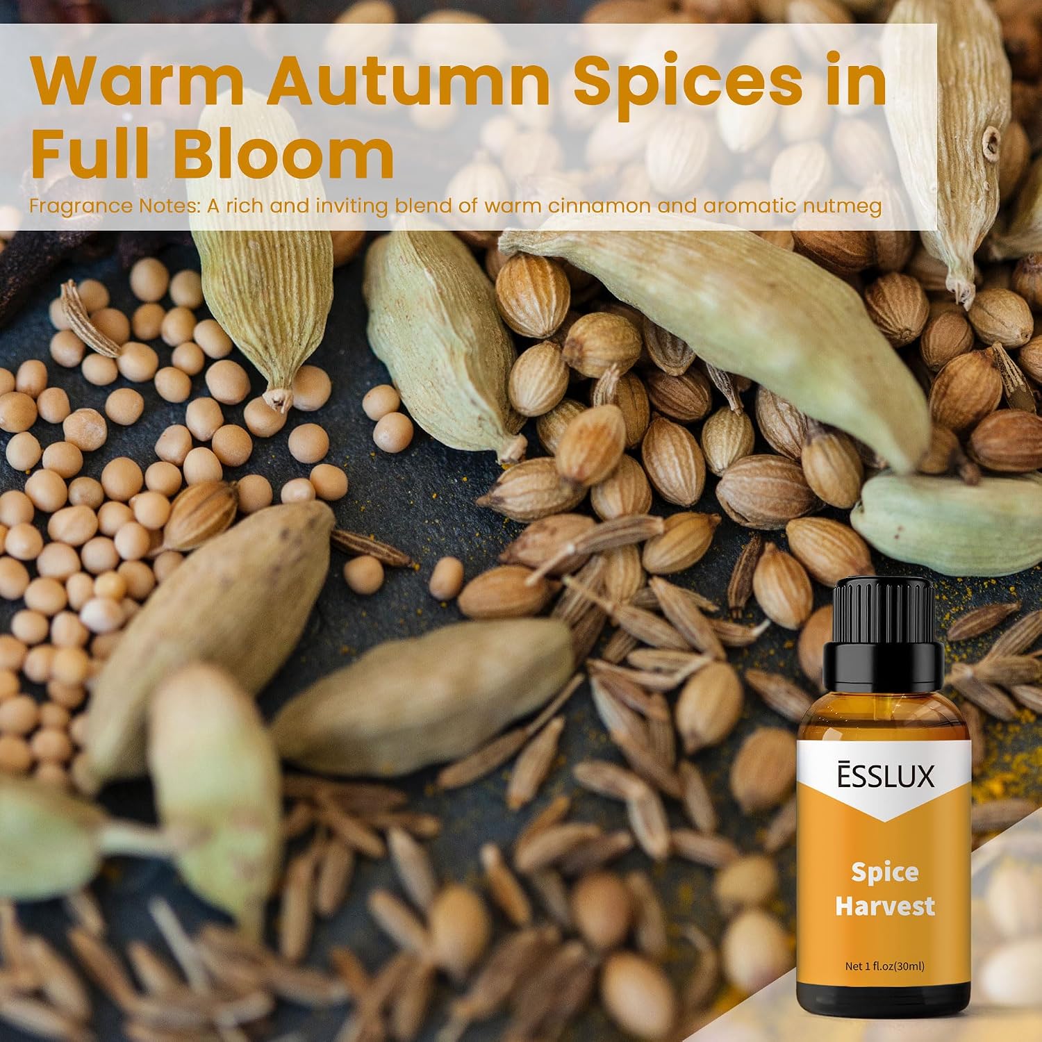 Spice Harvest Fragrance Oil, ESSLUX Aromatherapy Essential Scented Oils for Home for Diffuser, Massage, Soap, Candle Making Scents, Perfume, Humidifier, 30 ml image 2