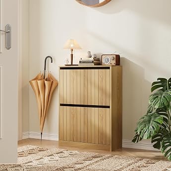 2 Door Shoe Cabinet for Entrance