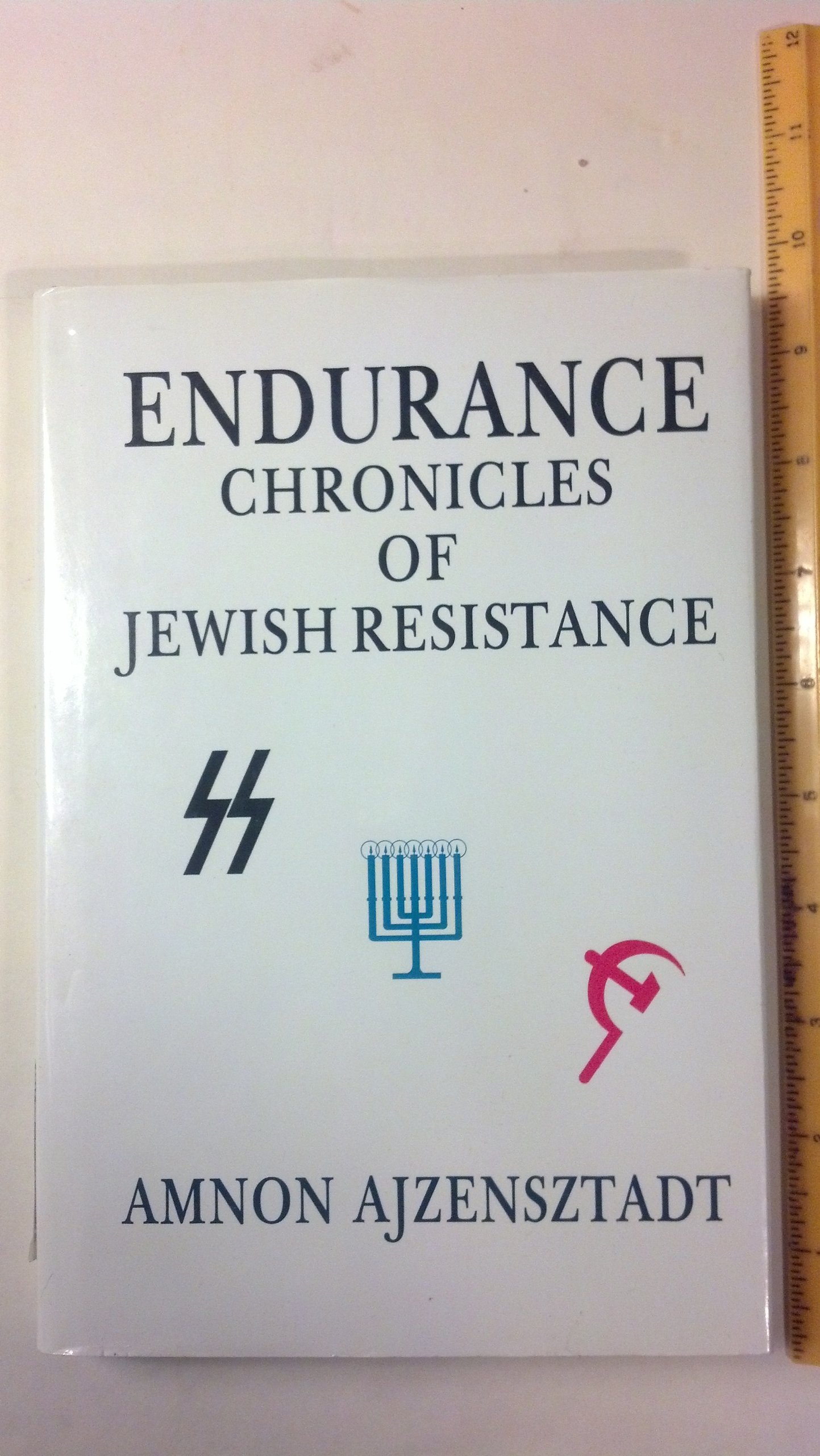 Endurance: Chronicles of Jewish Resistance