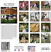 Vista 1236 de Razas de Perros 2017