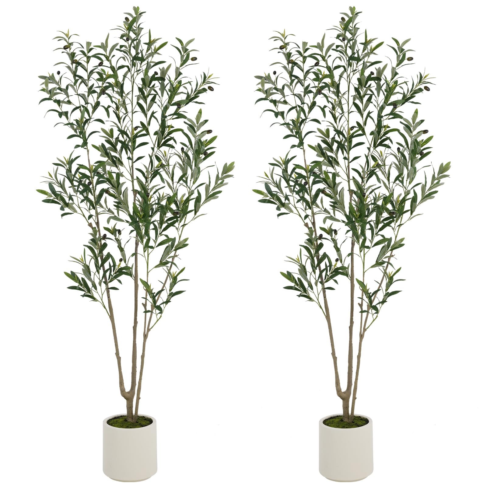 ROOMTEC 2 Pack Artificial Olive Tree 6ft, Faux Olive Tree with White Planter and Fake Moss, Olive Trees Artificial Indoor, Potted Plants Artificial Decor Realistic Trunk and Leaves for Home (2, 6 FT)