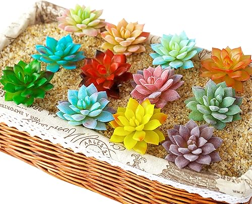 Miniatura 4 de Cayway 20 plantas suculentas artificiales surtidas multicolor, suculentas falsas de cactus aloe, surtido de suculentas en flocado en diferentes