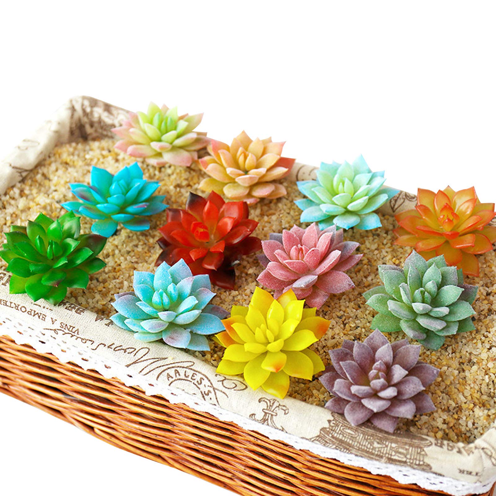 Amazon.co.jp: Cayway 20個マルチカラーフェイク多肉植物 詰め合わせ