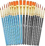 20 Pcs Paint Brushes, Acrylic Painting Brush Set, Watercolor Brushes, Acrylic Brushes for Oil Watercolor, Miniature Detailing, and Rock Painting