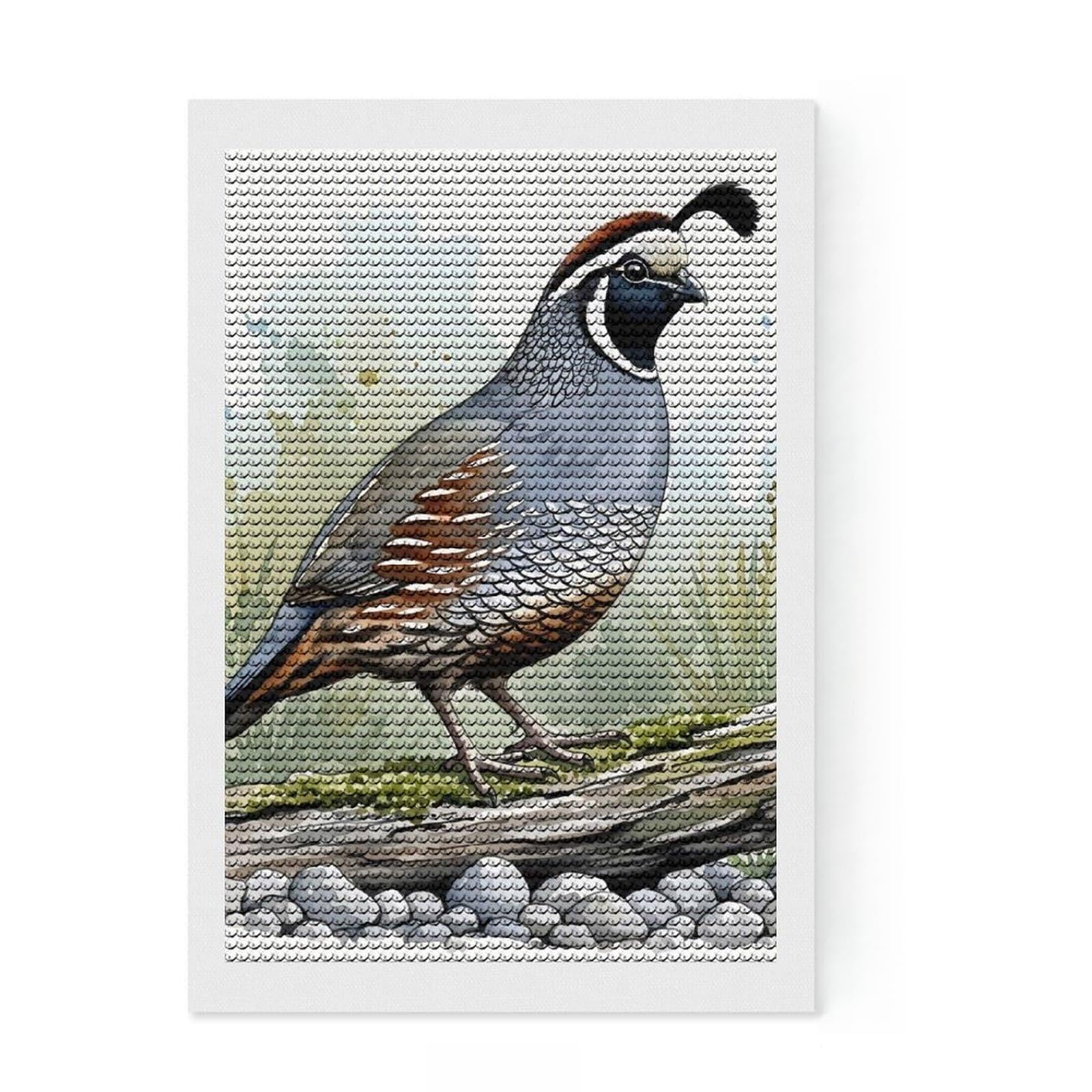 Junmoney Watercolor California Quail Illustration Diamond Painting Canvas Kit 8"x12", Home Decoration, Wall Art Gift, with Tool Kit, Easy Craft Set, DIY