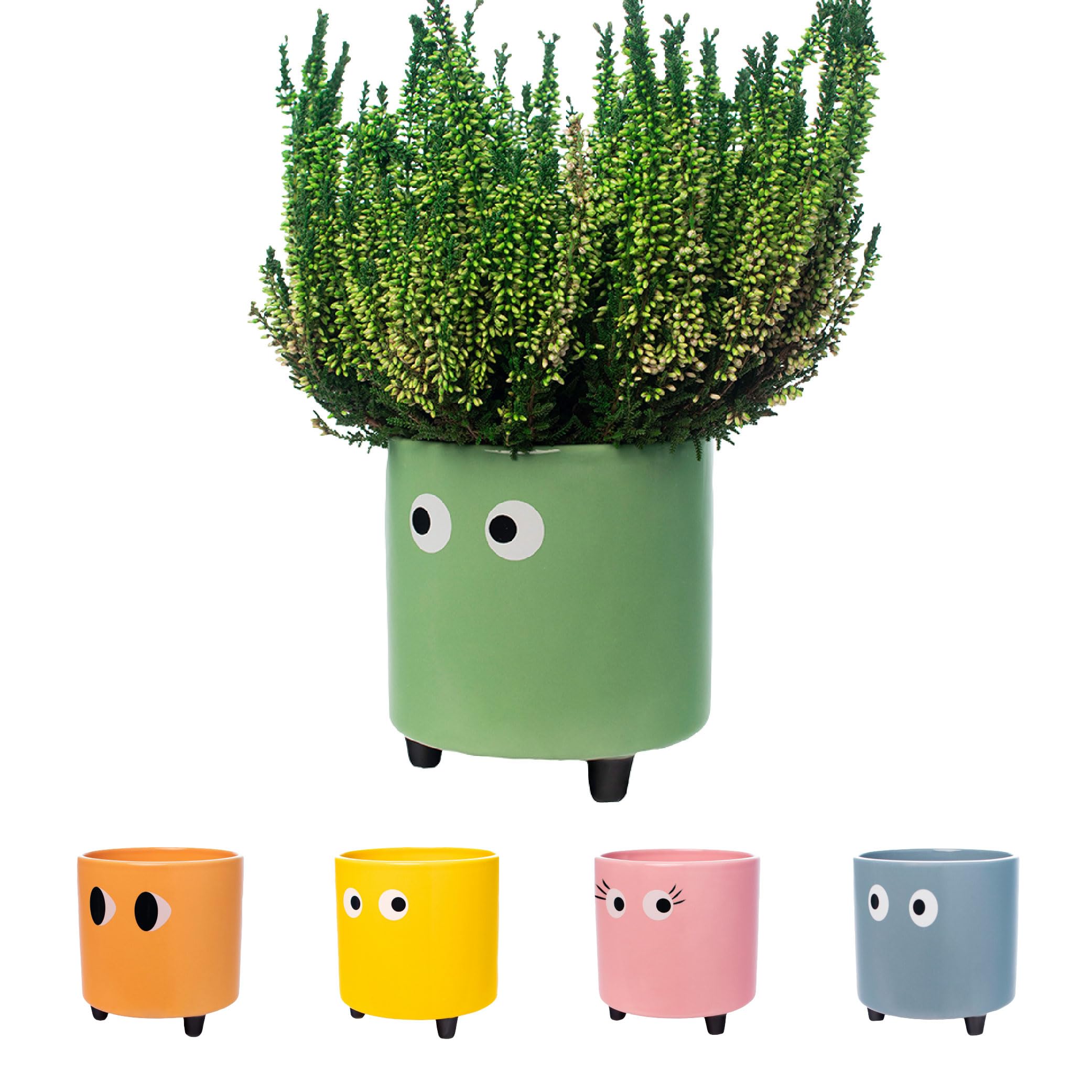 Fisura - Original Eyes Plant Pot - Indoor Ceramic Planter with Legs for Cactus & Succulents, Decorative Flower Pot, Gift Idea for Plant Lovers, 13 x 12.5 cm (Green)