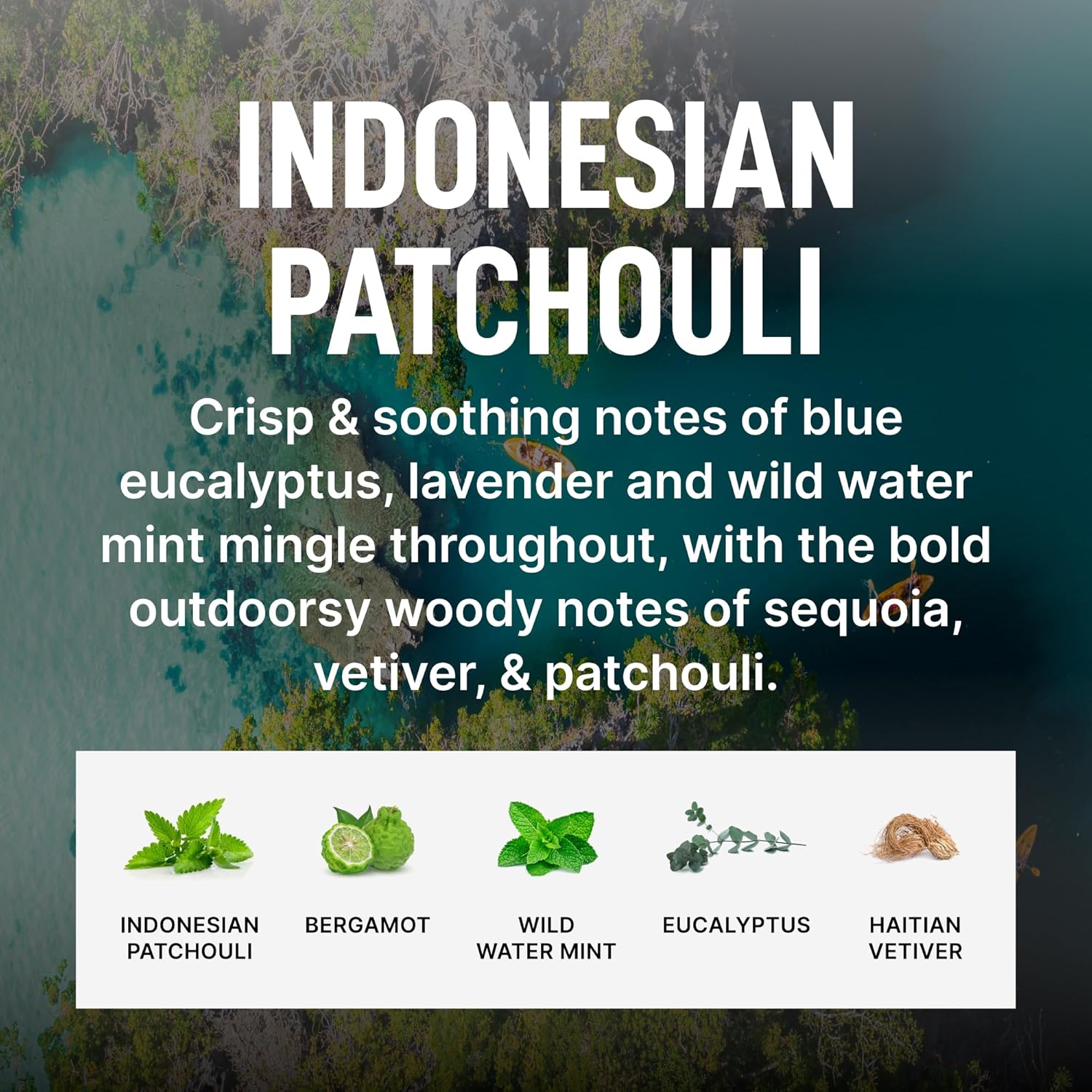 Laundry Sauce - Luxury Scented Laundry Detergent Pods & Scent Booster Bundle (Indonesian Patchouli), Premium Laundry Washing Pods with High-End, Sophisticated Fragrances - Dye Free & HE Compatible - Image 5