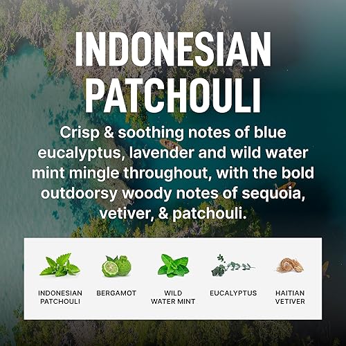 Miniatura 5 de Laundry Sauce - Cápsulas de detergente perfumado de lujo y paquete de refuerzo de aroma (pachulí indonesio), cápsulas de lavado de ropa premium con