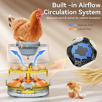 Egg Incubator for Hatching Eggs 20-Egg Capacity with Automatic Egg Turner, Temperature & Humidity Control, LED Egg Candler, 360 Viewing for Chicken, Duck, Quail & Goose Parrot & Pigeon