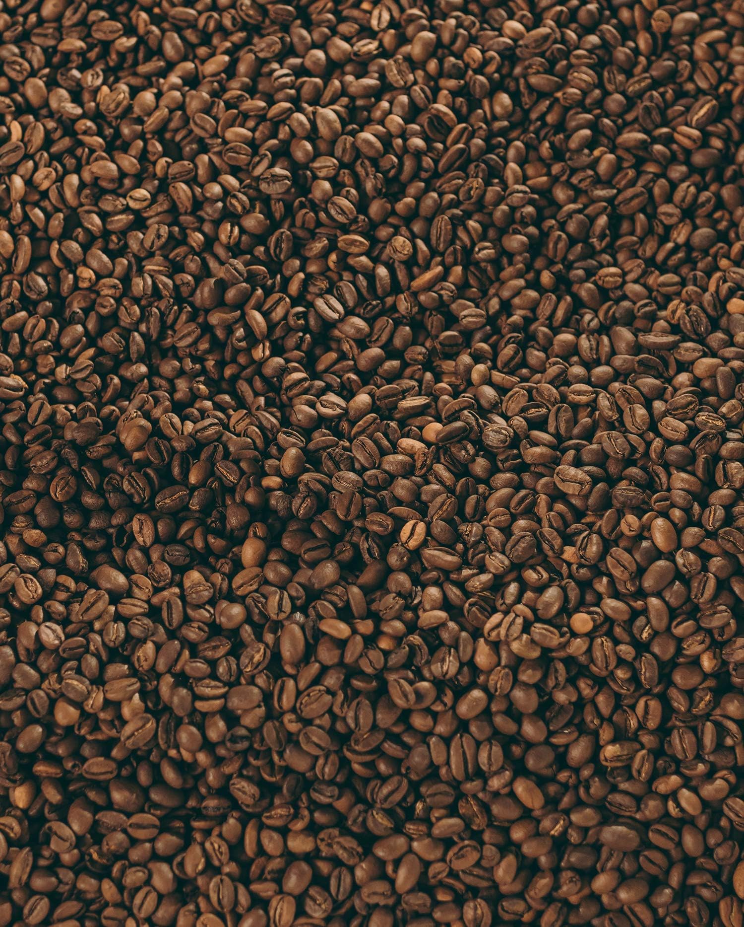 Café Grain Bio ★ Mexique Altura 1 kg ★ 100% Arabica ★ Intensité 8 ★ Paquet de 1Kg avec Zip ★ Torréfié Artisanalement France ★ 100% Agriculture Biologique ★ Café de Qualité ★ Satisfait ou Remboursé ★