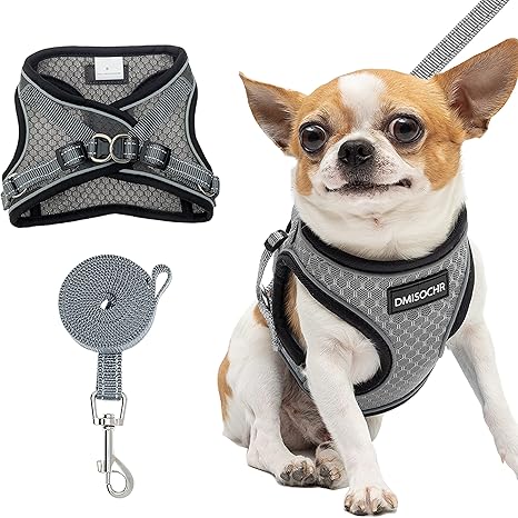 Body leash for small dogs Clearance