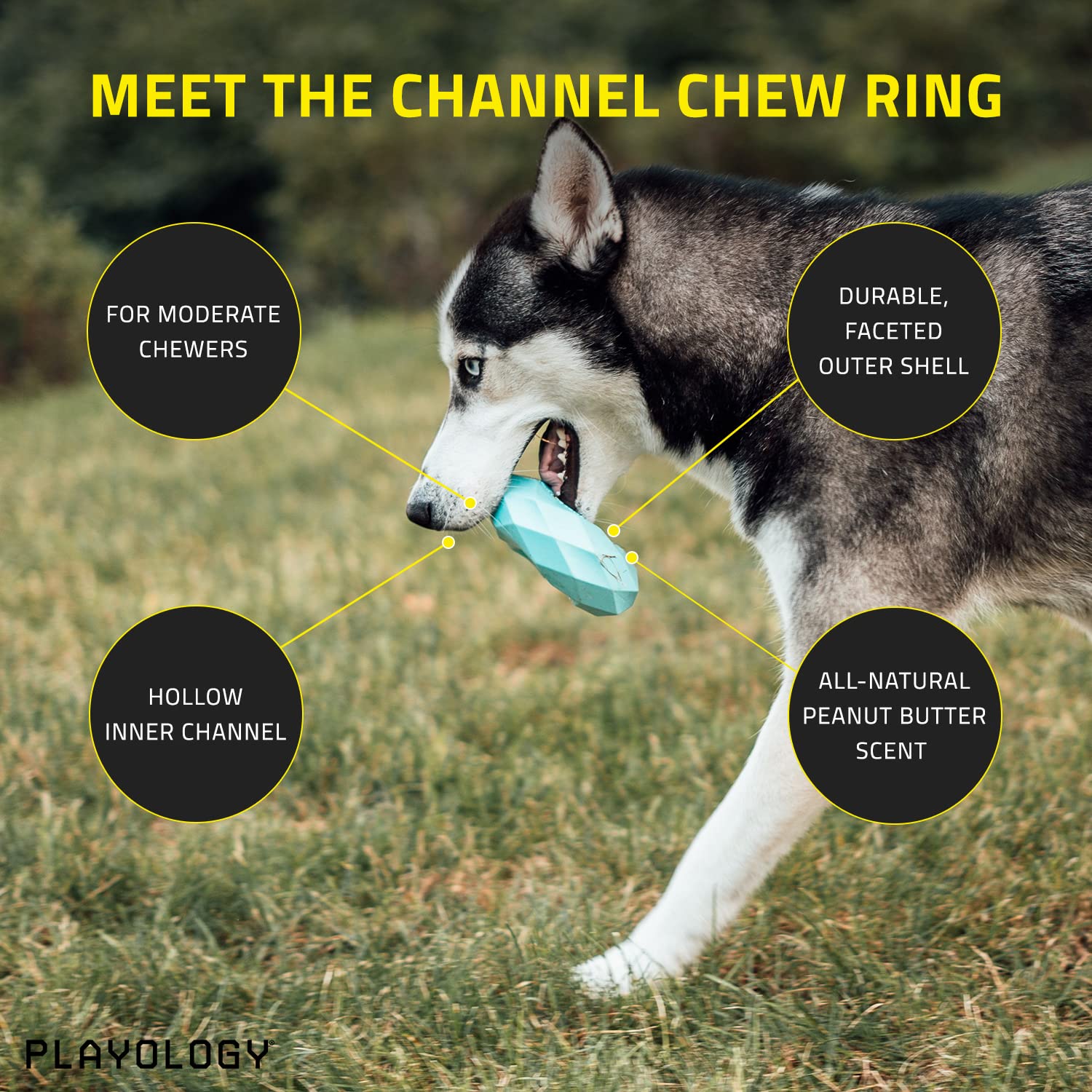 Playology Channel Chew Ring Peanut Butter Dog Toy, Large