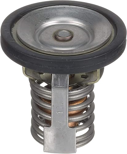 Miniatura 3 de Quicksilver 8M0057307 Termostato de repuesto