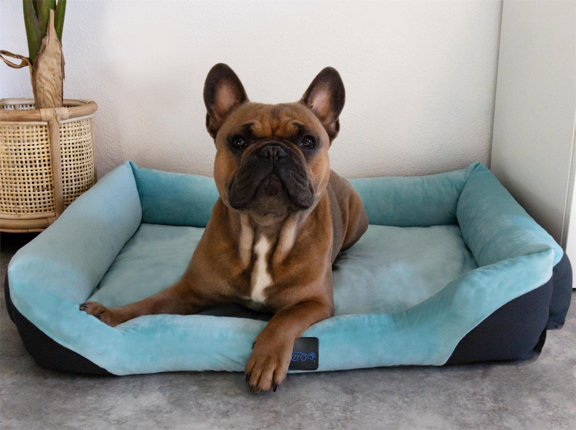 normani Hundekorb Hundebett + Decke - Haustierbett - Waschbarer Bezug bis 95 ° - für Katzen und Hundegeeignet - aus schadstoffreiem Material Farbe Blau Größe 70 cm x 100 cm
