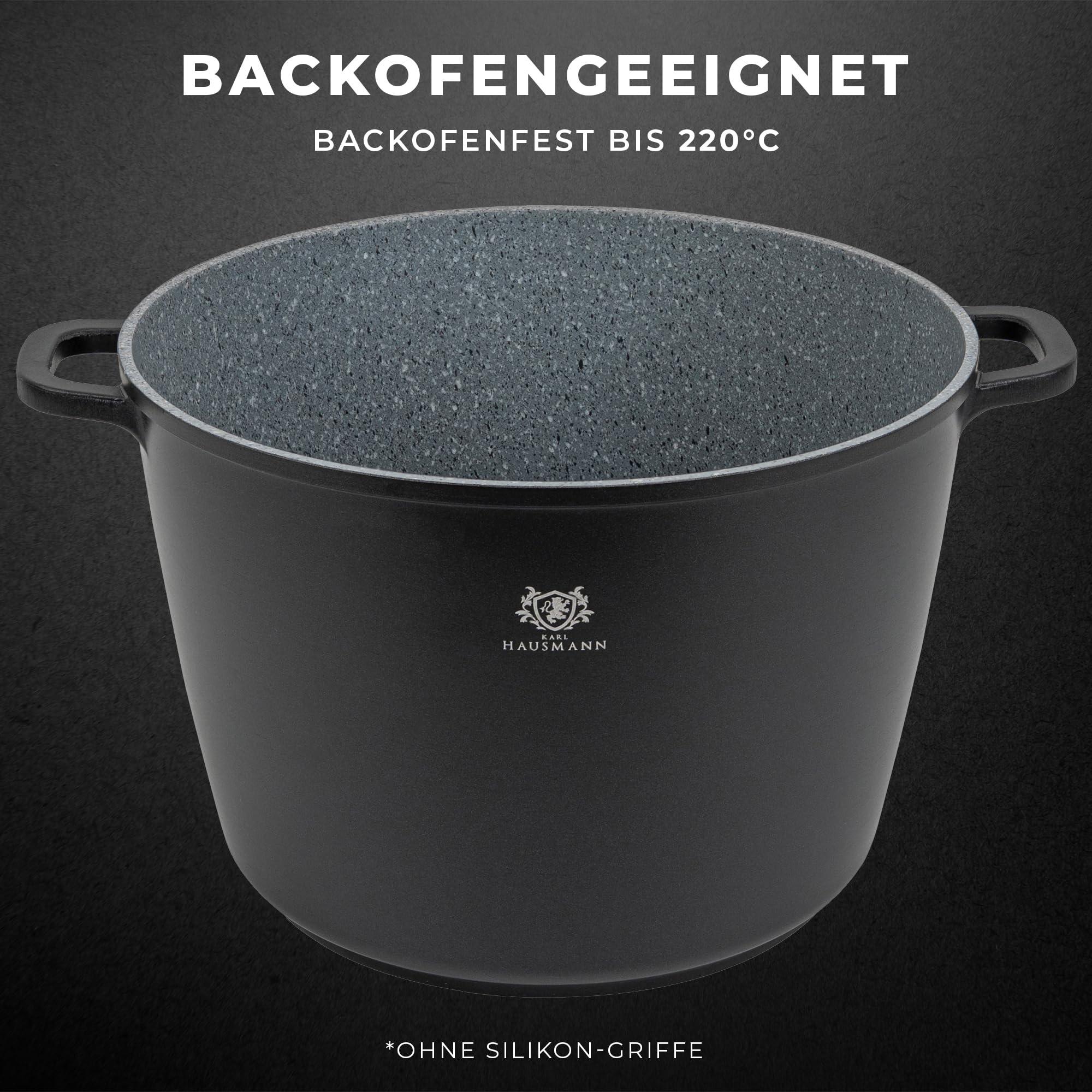 KARL HAUSMANN Aluguss Topf 28 cm 10 L mit Deckel, Induktion, Schwarz