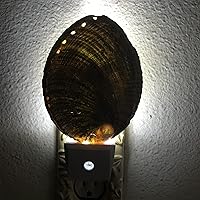 Vista 2 de PEPPERLONELY Conchas de mar de abulón verde natural, luz nocturna náutica natural conchas de mar decoración del hogar, sensor automático LED luz