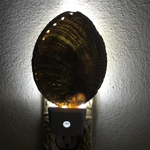 Miniatura 2 de PEPPERLONELY Conchas de mar de abulón verde natural, luz nocturna náutica natural conchas de mar decoración del hogar, sensor automático LED luz