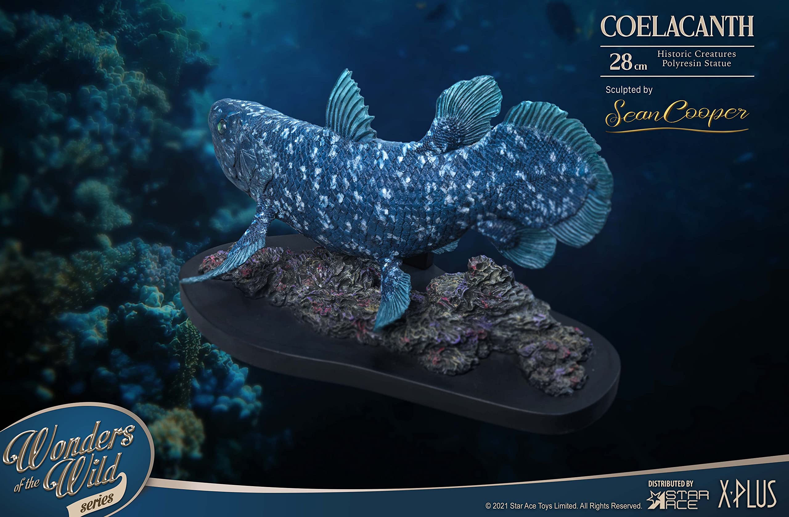 Amazon | スターエーストイズ ワンダーズ オブ ザ ワイルド