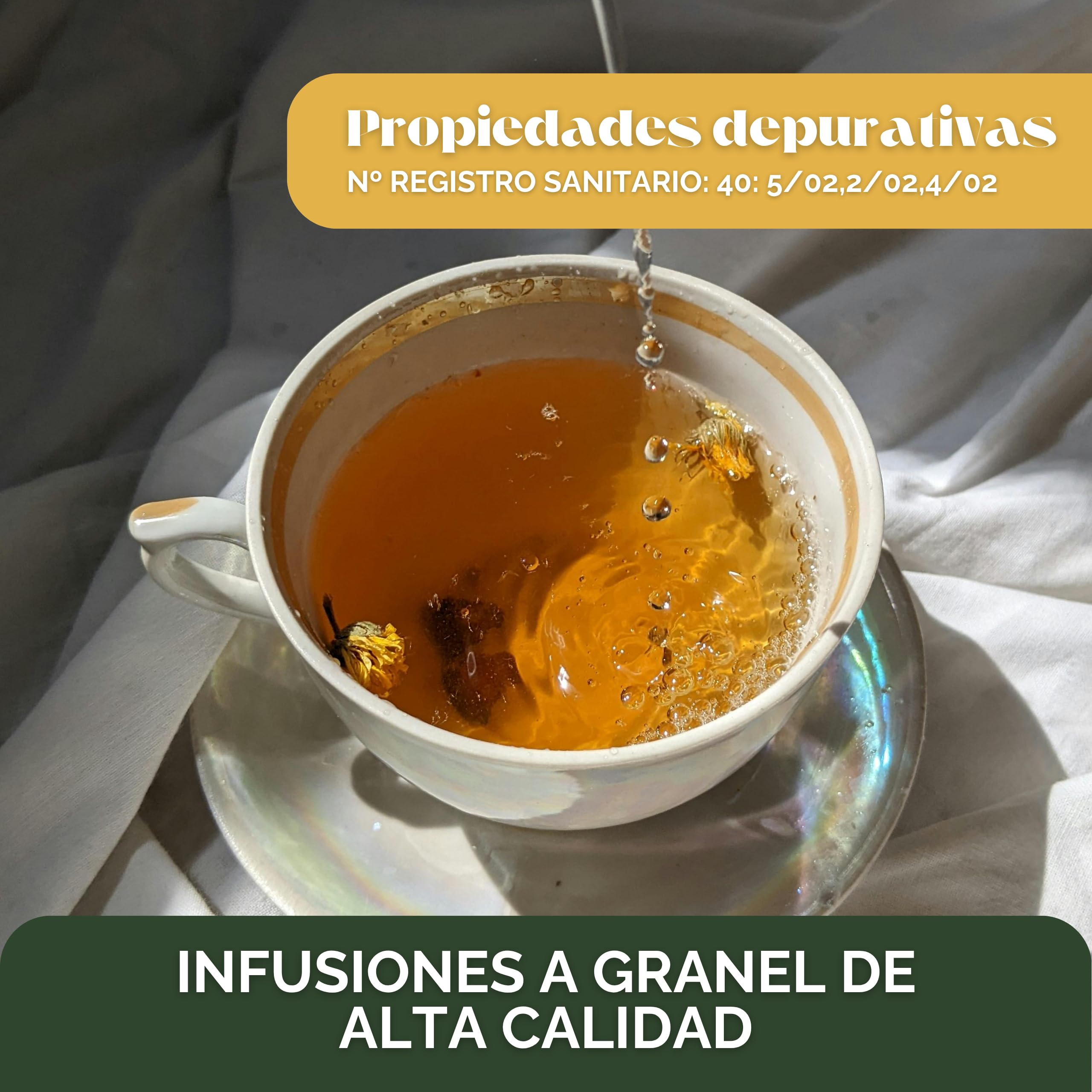 Bioky Pissenlit 1kg – Plante Séchée Naturelle pour Infusion Détox
