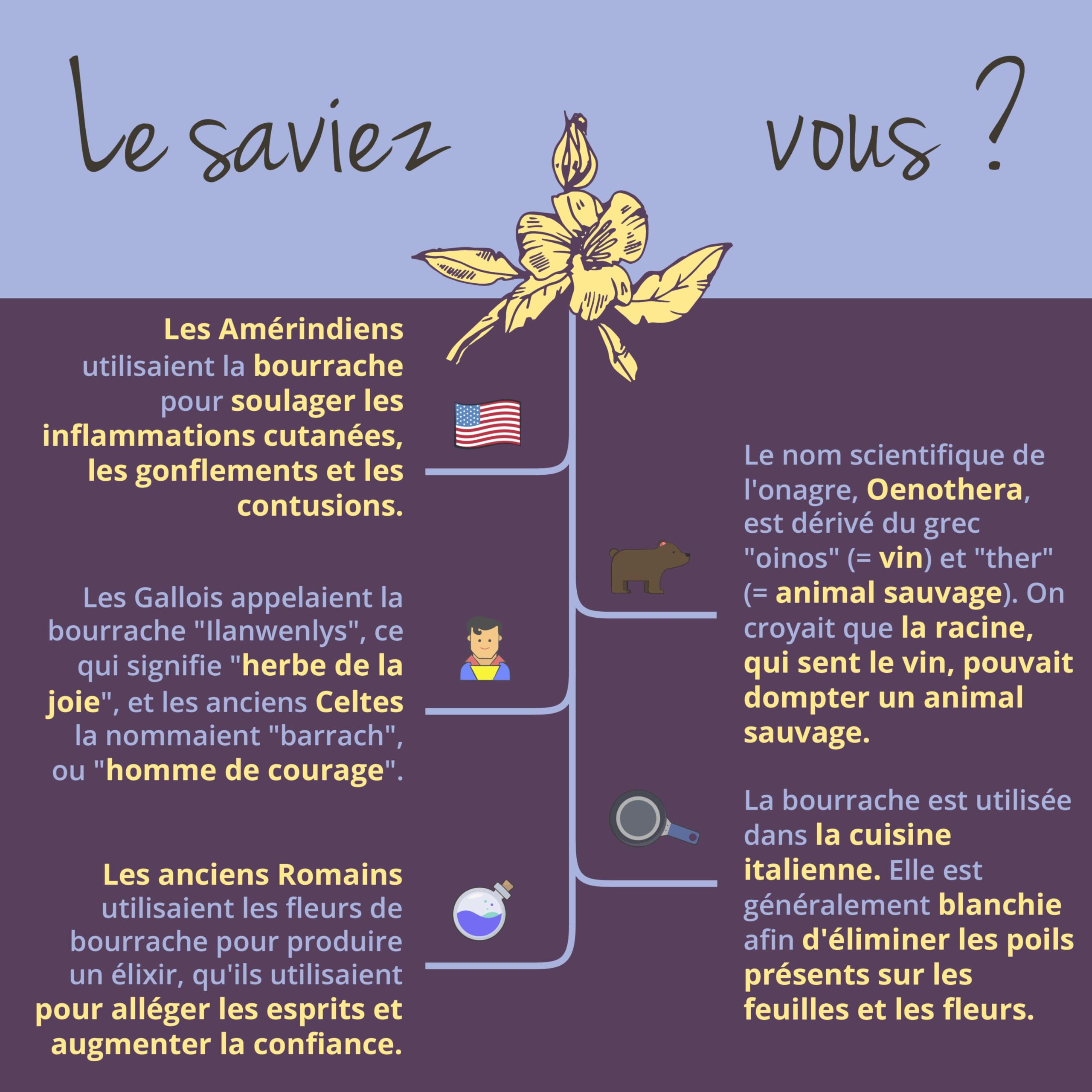 Onagre BIO + Bourrache - 700 mg | VEGAN & Naturel | Avec Omega 6 | Pour la Peau + Rééquilibrage hormonal | Qualité Supérieure & Sans Additifs | 3 Mois | Vegavero®