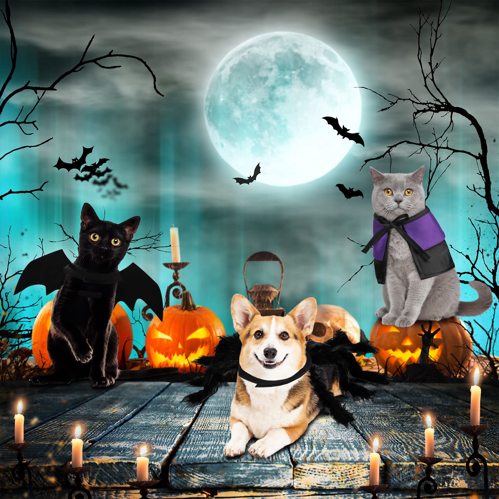 3 Piece Halloween Cat Dog Costume Set - Image 4