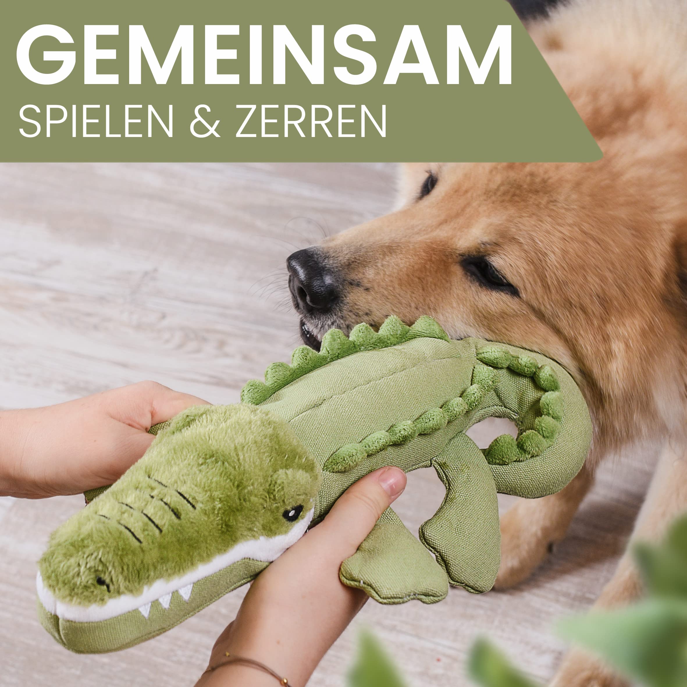 ne&no Dog Toy [Designed by Dog Soft Toy with Squeaker I Toy Canvas I Puppy Toy I Cuddly Toy for Dogs - Image 3