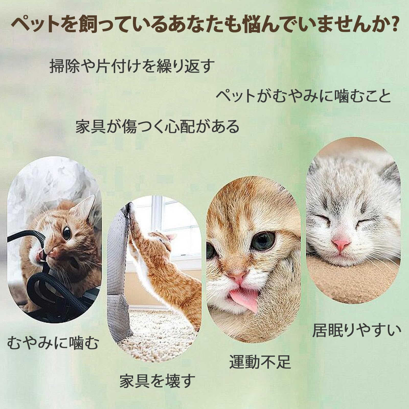 猫じゃらし ねずみのしっぽ ペットおもちゃ 猫用 釣り竿 ストレス解消 Amazon | 猫じゃらし ねずみのしっぽ ペットおもちゃ 猫用