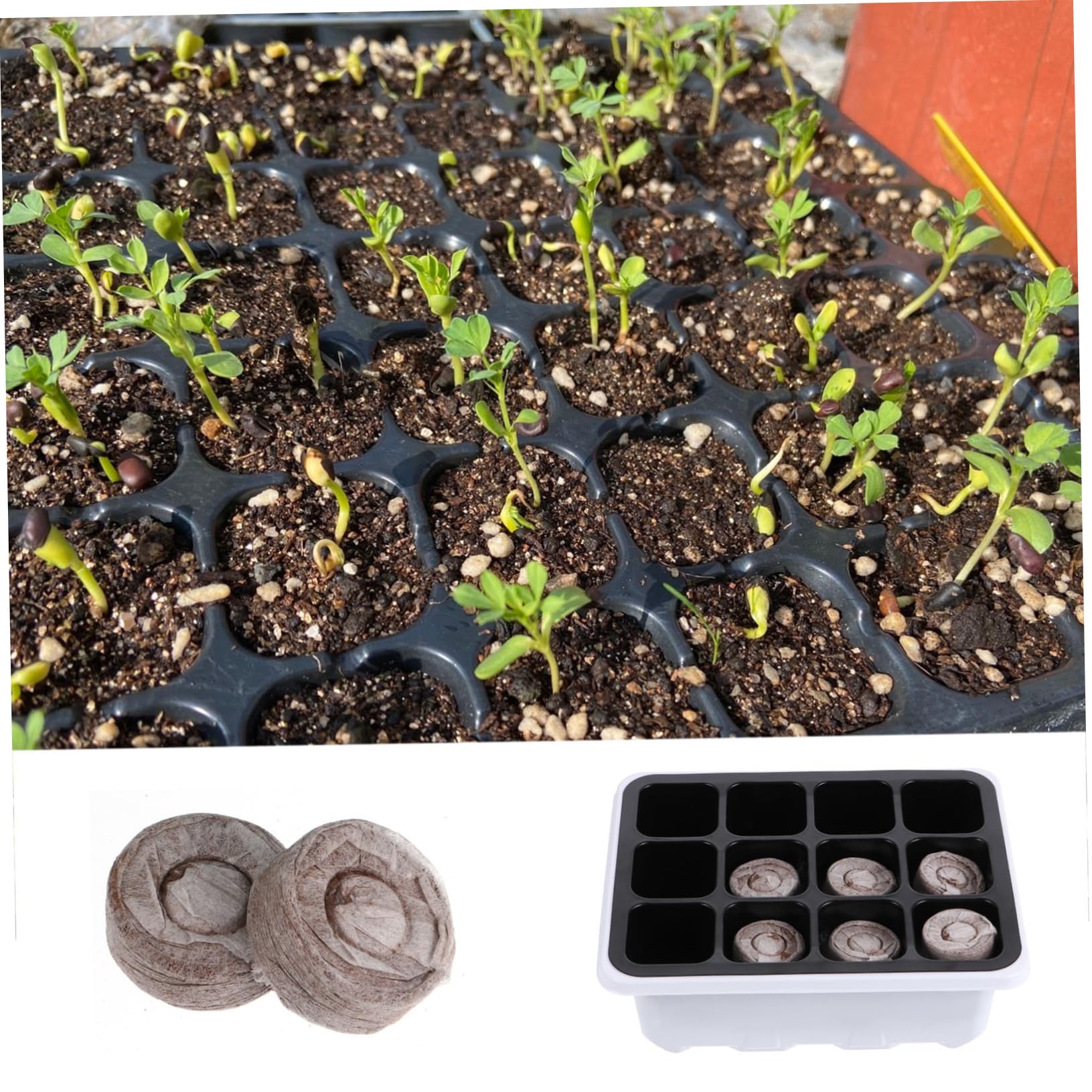 3 Sätze Garten Anzuchtset Mit Pflanzschalen Und Block Für Keimung Und Pflanzenaufzucht Robust Und Langlebig Für Garten Und Gewächshaus 12 Stück * 3