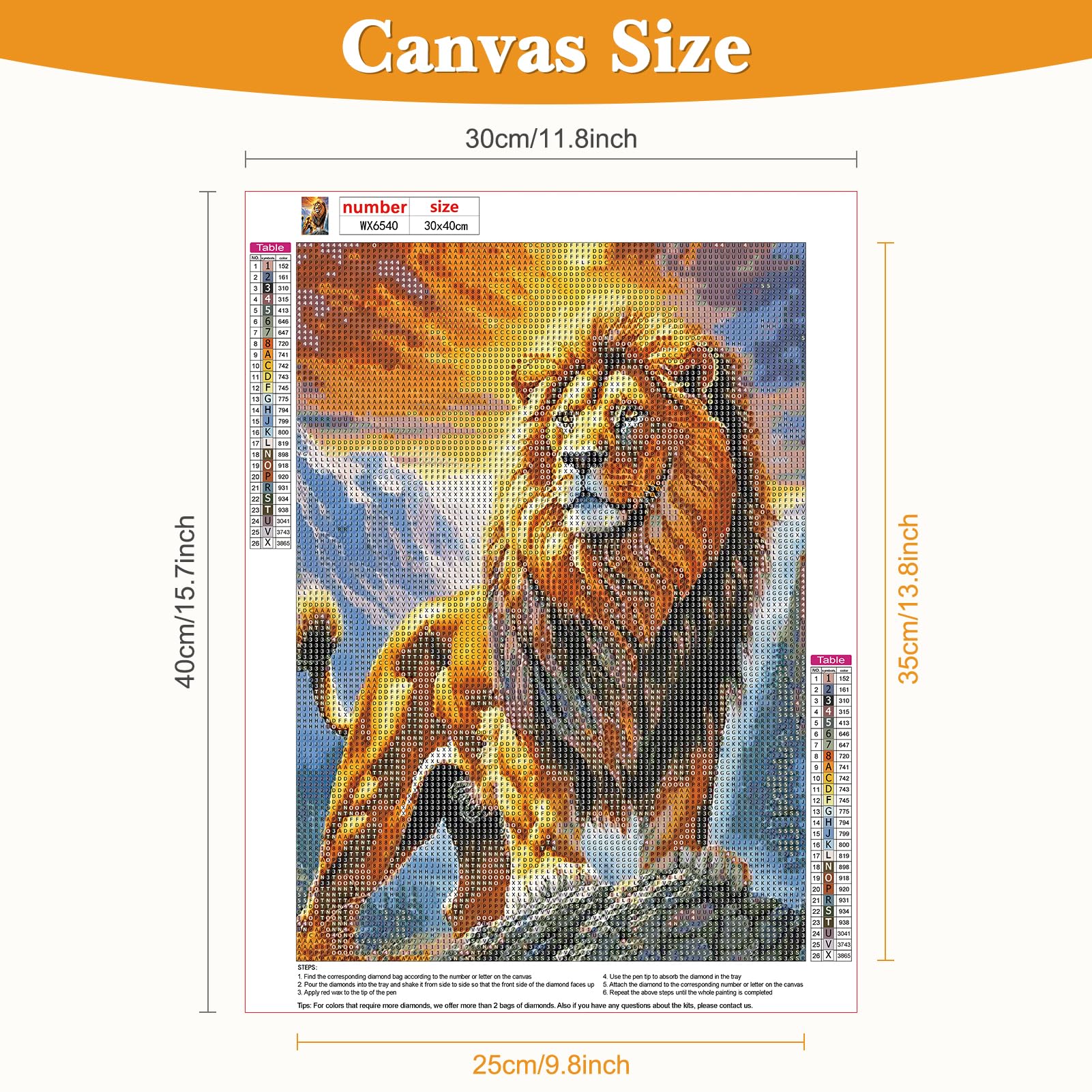 Kit Diamond Painting Lions DOMROM - 30x40cm - Art Diamant 5D Avec Strass - Loisir Créatif Anti-Stress