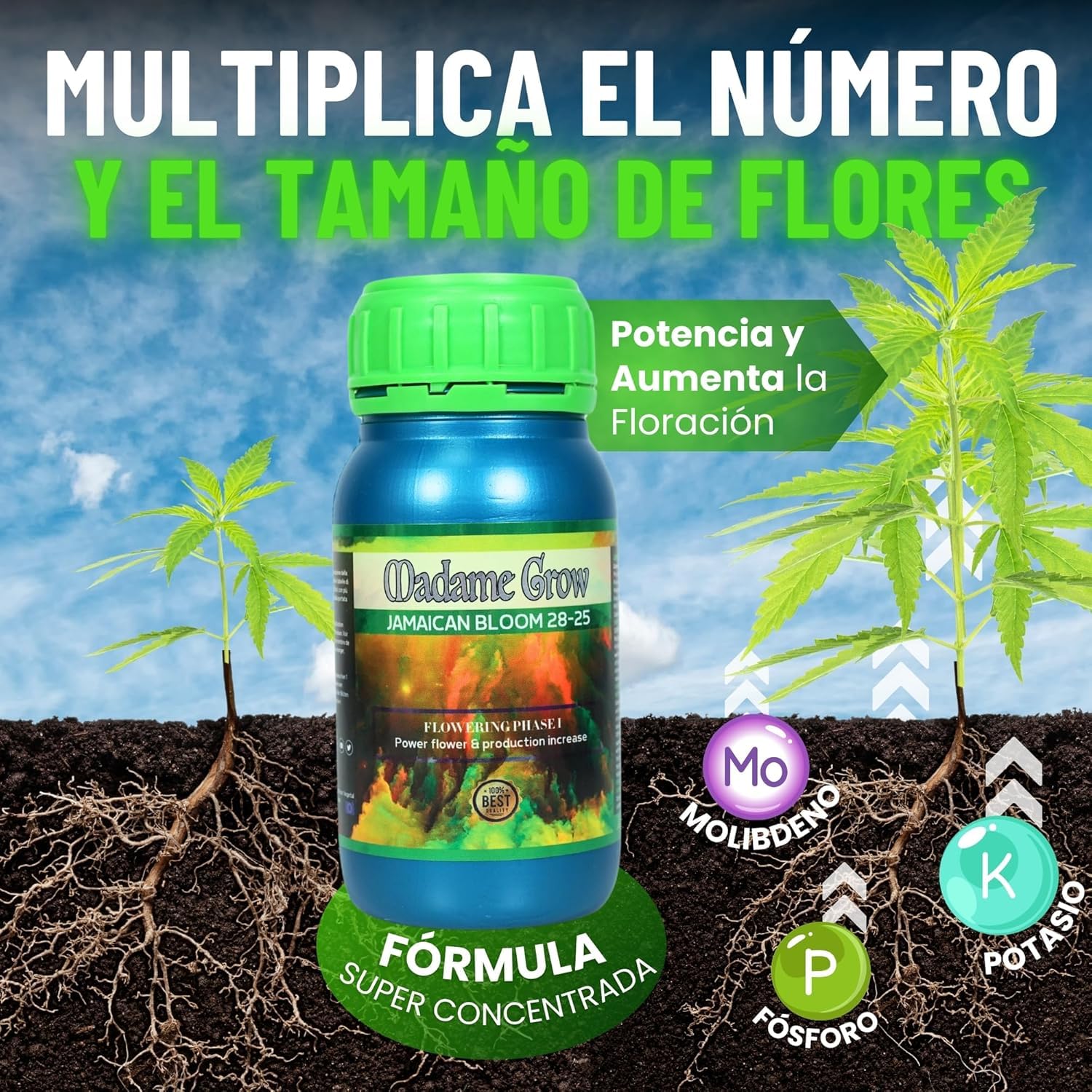 MADAME GROW Pack Ibiza 3 x 1 Litro | Kit Fertilizantes Floración con Algas Energía y PK | Caribbean Algae + Sweet Lolita + Jamaican Bloom | Pack 3 Abonos Orgánicos Floración