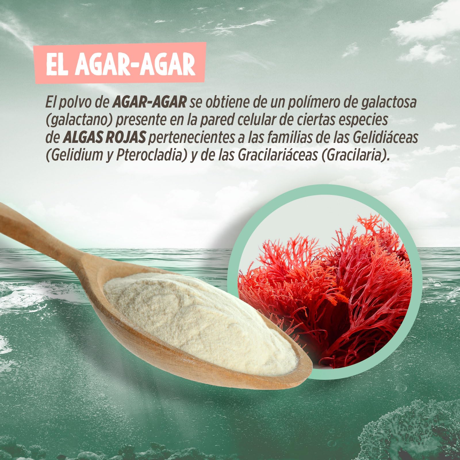 Agar-agar en polvo 250 g - Natureen - Producto natural - para cocinar, sustituto vegano de la gelatina