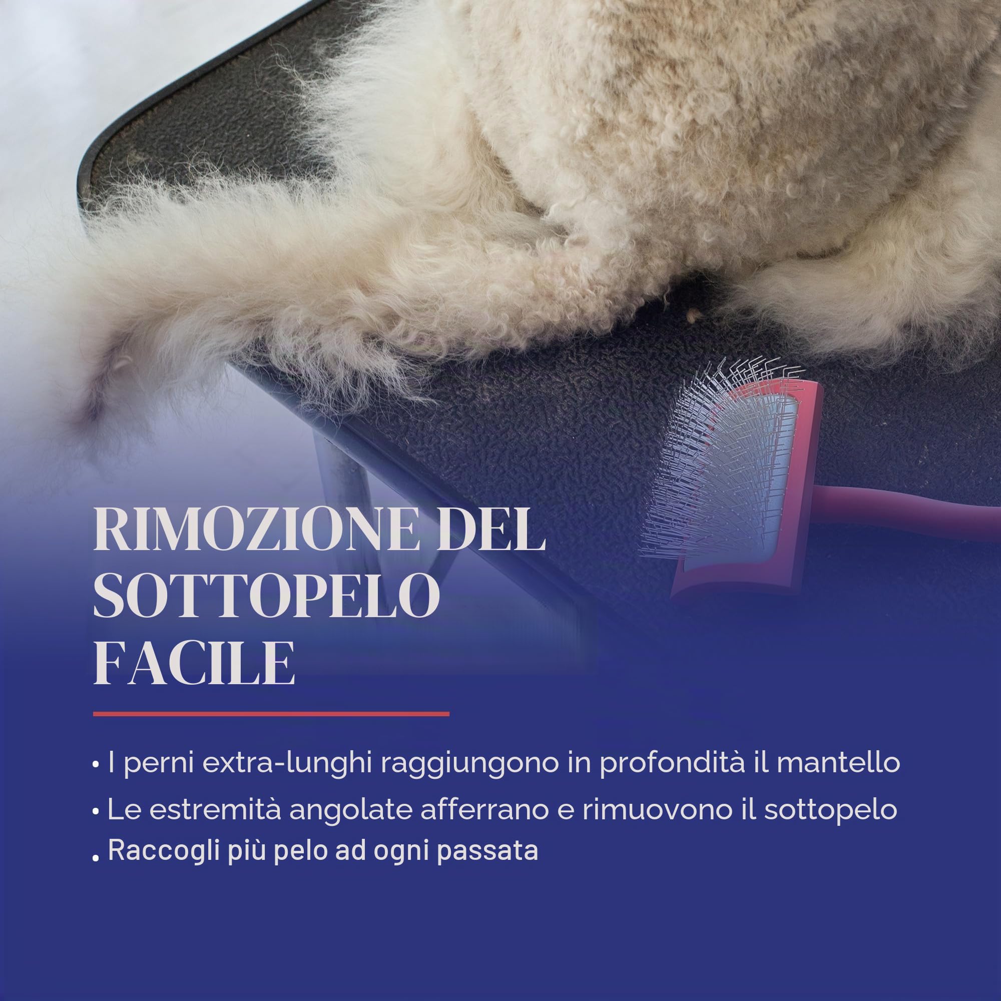 Chris Christensen Baby G - Spazzola per cani da toeletta, per lo sposo come un professionista, stile districante, consente di risparmiare tempo di energia, corallo, piccola