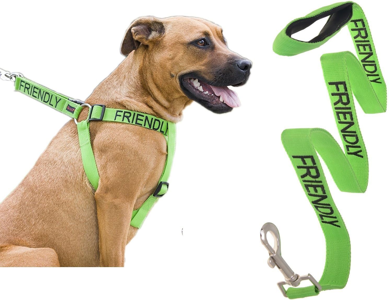 Dexil Limited Friendly Color Coded Green L-XL Non pull Dog Harness and 4 Foot Leash Set (Known As Friendly) Prevents Accidents By Warning Others of Your Dog in Advance