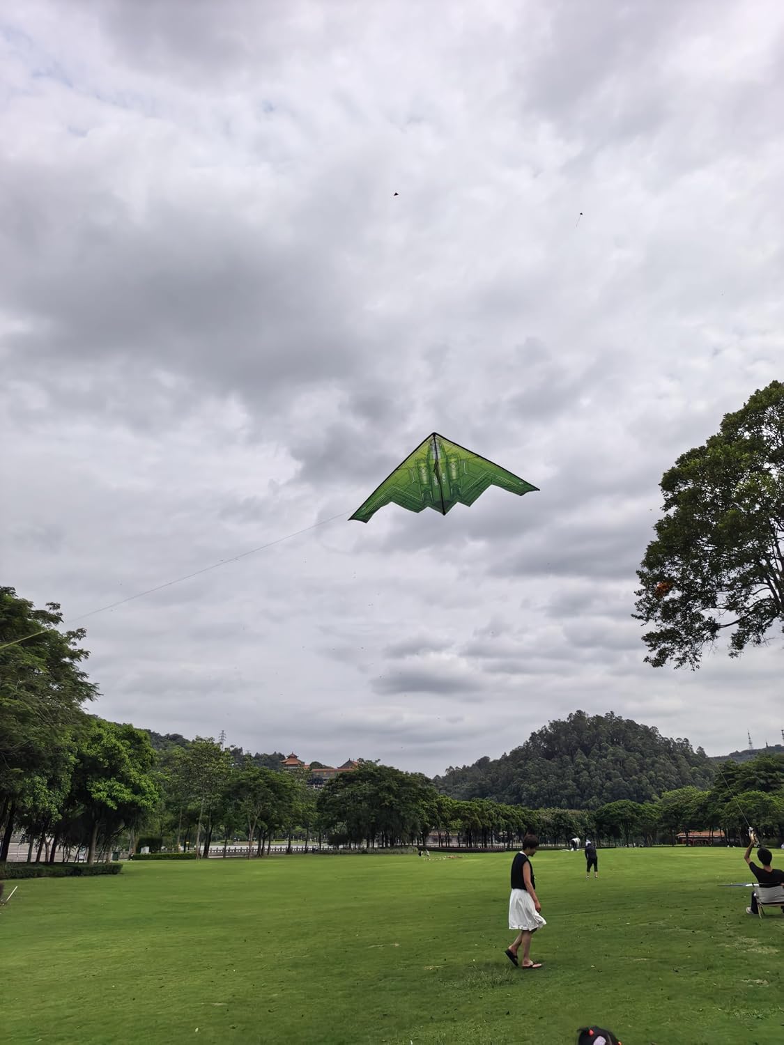 B2 Model Airplane Kite, Large Easy to Fly Kites Adults, 300FT String Reel Perfect for Beach Park Family Outdoor Activities image 4